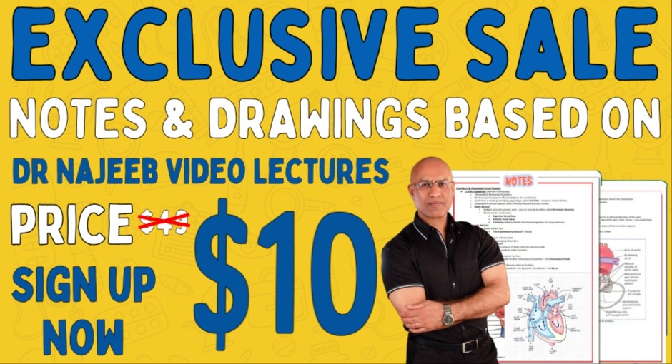 Dr Najeeb Notes and Drawings cover