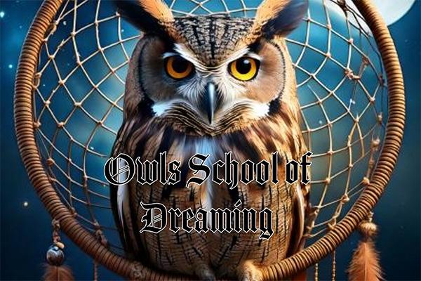 Dream School LIVE December 2024 cover