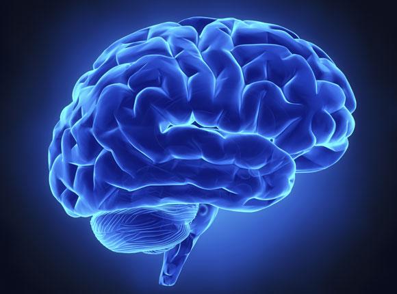 ONF 101 - Desarrollo Humano Basado en la Organización Neurológica Funcional cover