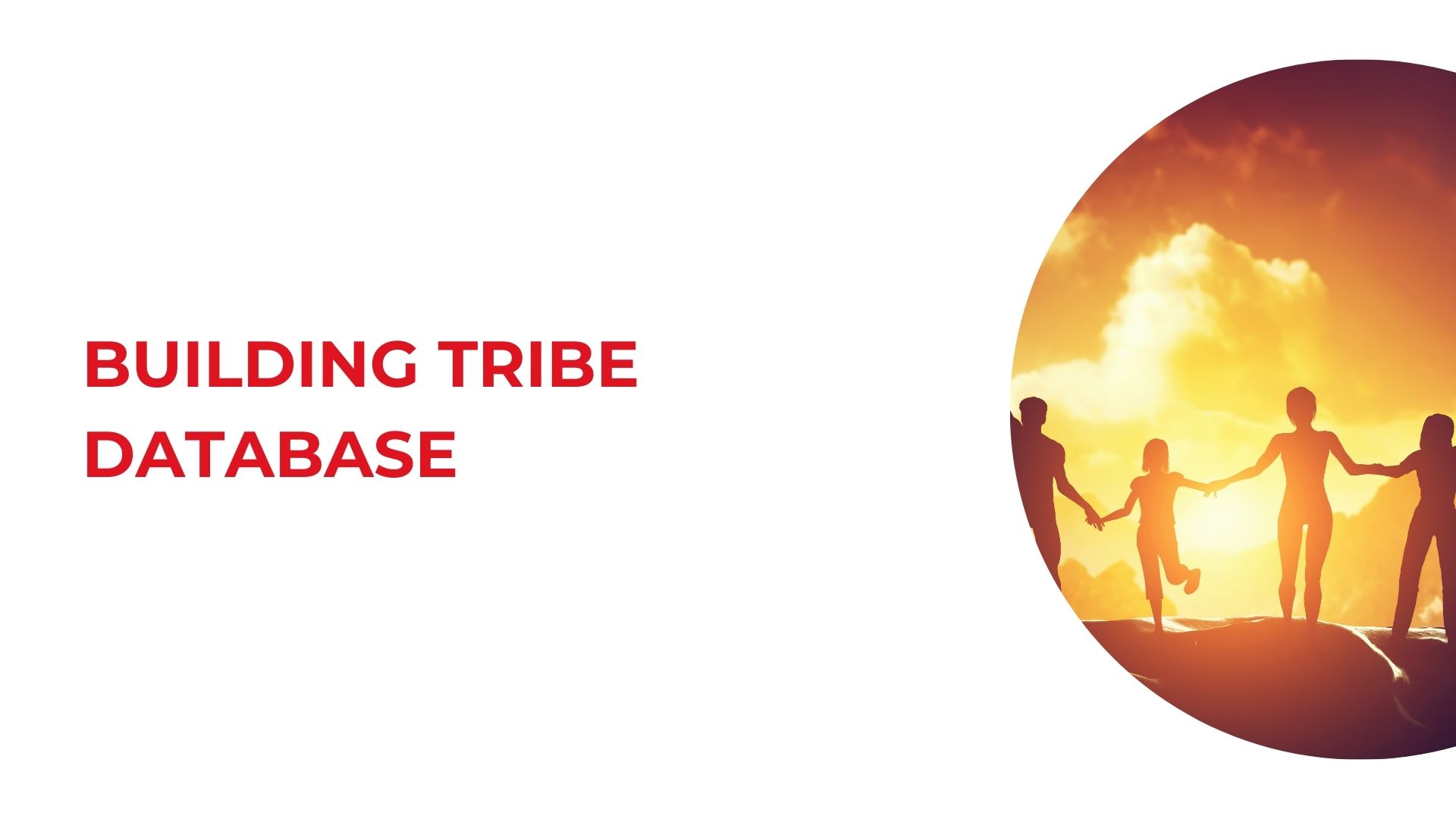 Building Tribe Database cover