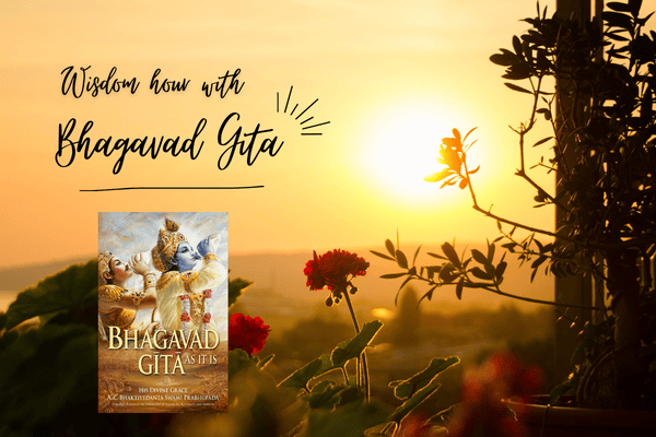 Bhagavad Gita: Daily Dose of Wisdom cover