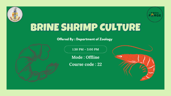 Brine Shrimp Culture cover