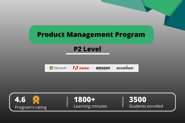 P2 Level(Basic) cover