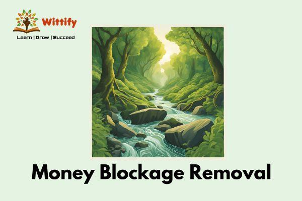 Money Blockage Removal cover