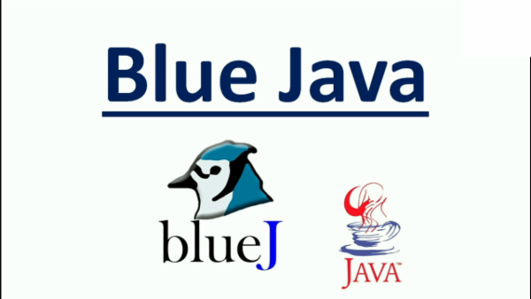 ICSE BlueJ Bootcamp: Code, Learn, Excel cover