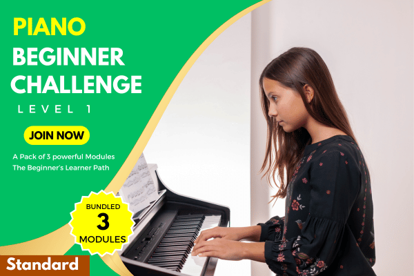 Piano Beginner Level 1 Standard cover
