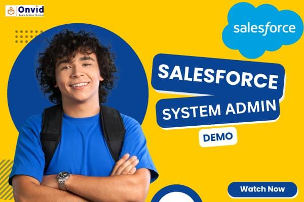 Salesforce System Administrator - Demo cover