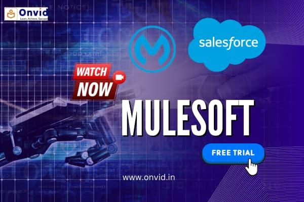 MuleSoft Mastery cover