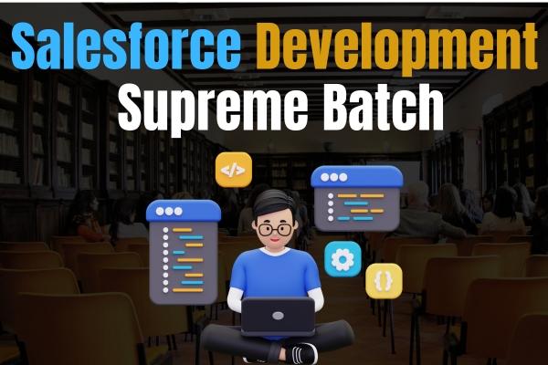 Salesforce Development Supreme Batch 1.3 cover