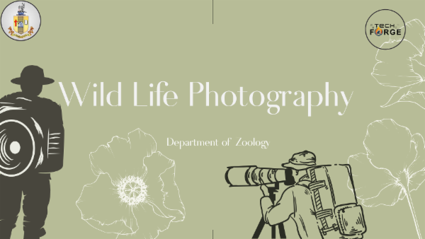 Wild Life Photography cover