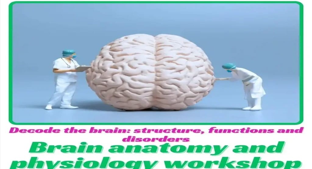 Brain Anotomy And Physiology Workshop  cover
