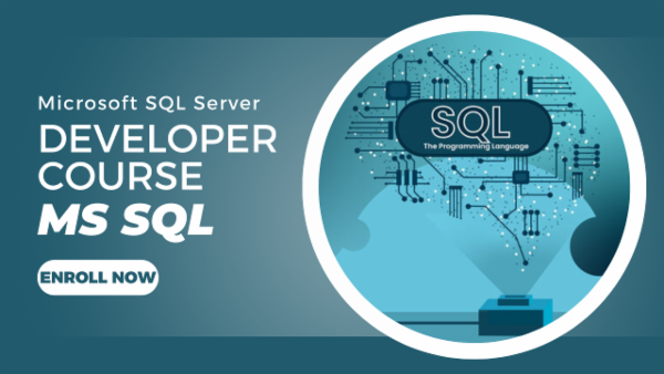 MS SQL Developer Course cover