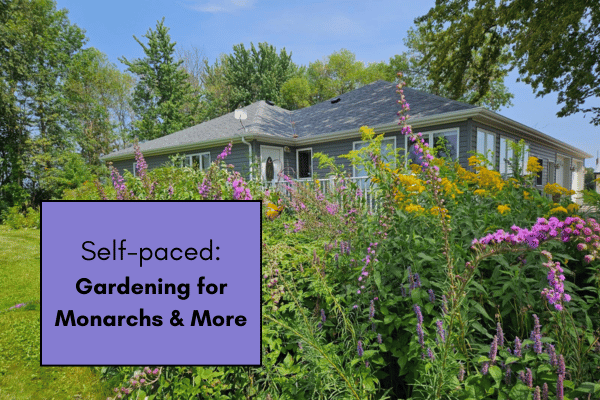 Gardening for Monarchs and More: From Balconies to Backyards cover