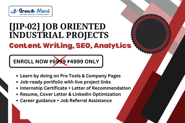 JIP 02 : Content Writing, SEO, Analytics cover