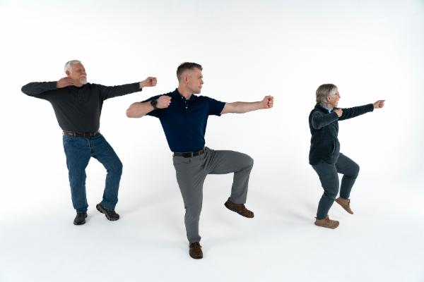 Tai Chi Plus Advanced Course cover