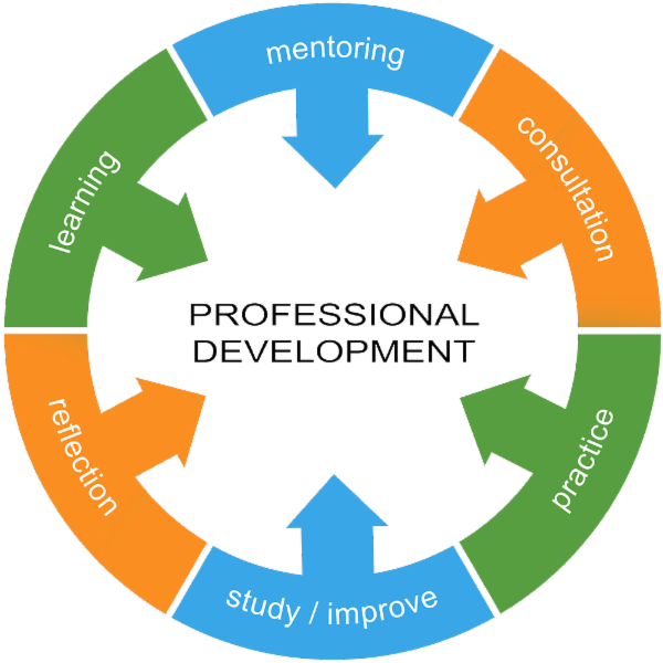 Professional Development cover