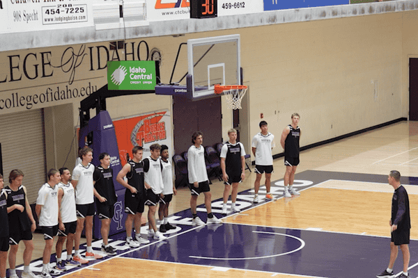 "Icing" Ball Screens on the Deep Wing cover