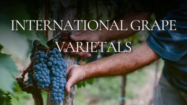 International Grape Varietals cover