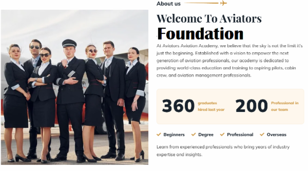 Aviators Foundation cover