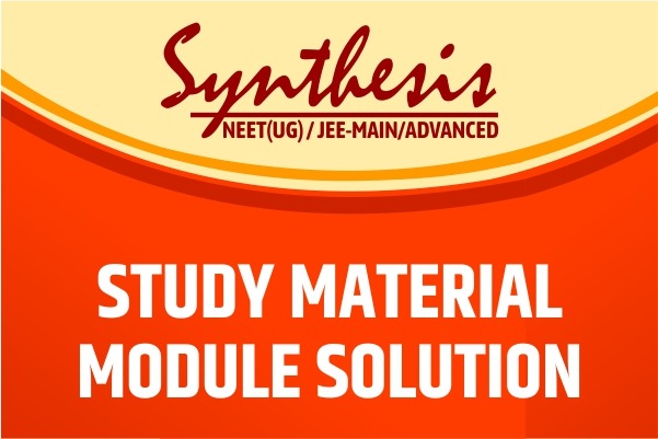 SYNTHESIS MODULE'S SOLUTION cover