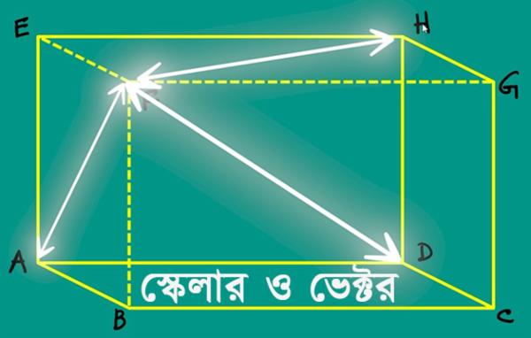 Class Eleven Physics Gravitation in Bengali cover