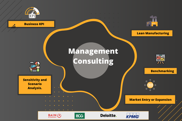 Management Consulting Program cover