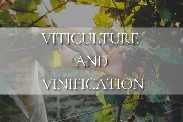 Viticulture and Vinification cover