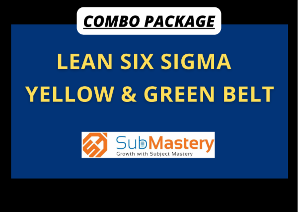 Package - Lean Six Sigma Yellow & Green Belt cover