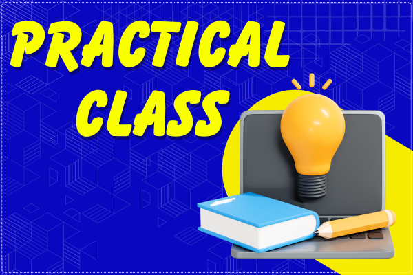 PRACTICAL CLASS cover