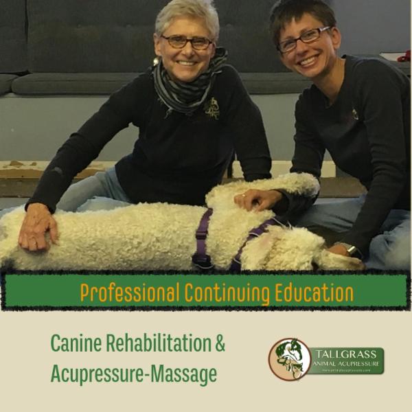 Ancient Techniques Supporting Modern Rehabilitation: Canine Rehabilitation & Acupressure cover