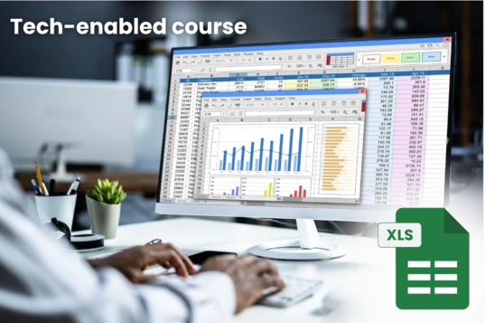 MS EXCEL - Basic to Advanced cover