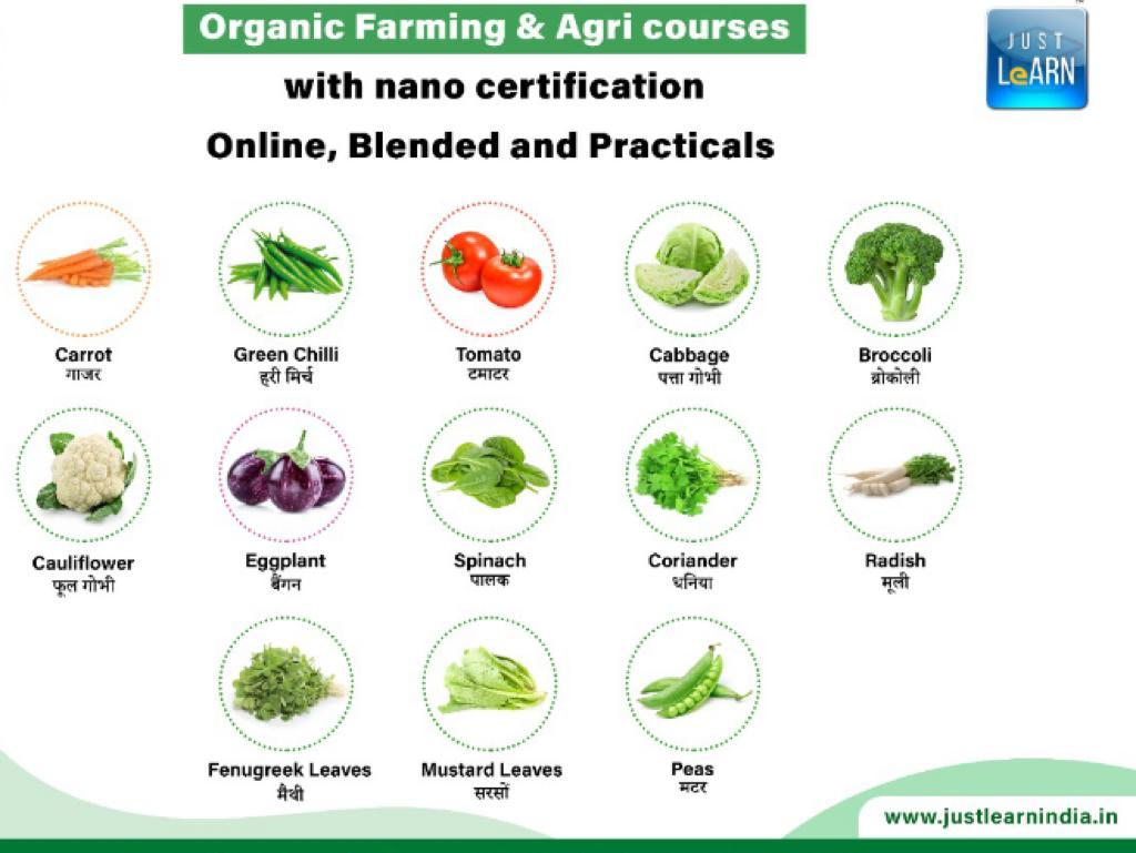 Organic Farming & Agri Course, how to do organic farming and sale your crops cover