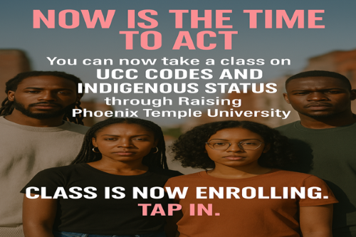 UCC Codes, Indigenous Rights & Systemic Liberation (Aborignal Indigenous Rights) cover