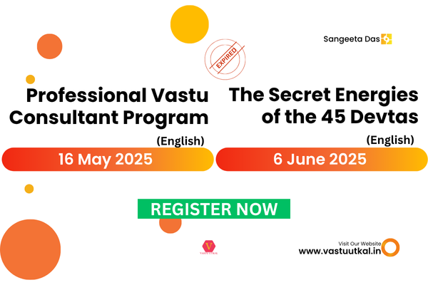 Professional Vastu & 45 Devtas (Combo) English cover
