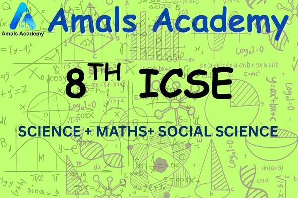 8TH ICSE (SCIENCE+MATHS+SS) cover