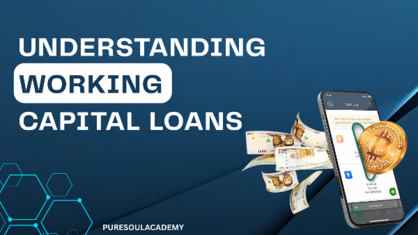 Understanding Working Capital Loans cover