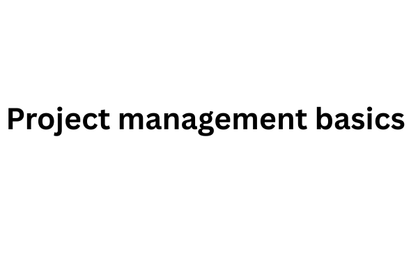 Project management basics  cover