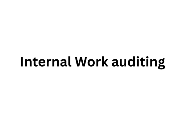 Internal Work auditing cover