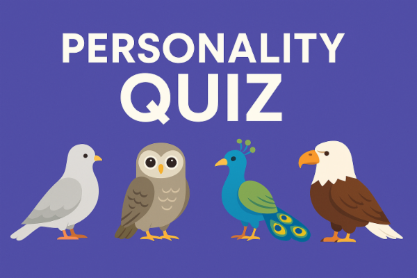 A Quiz on Personality Influenced Behaviours cover