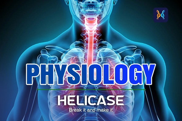 BDS PHYSIOLOGY 1 ST YEAR cover