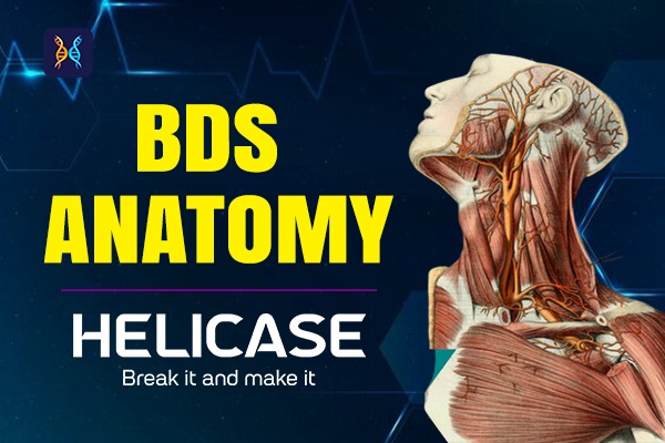 BDS ANATOMY 1 ST YEAR cover