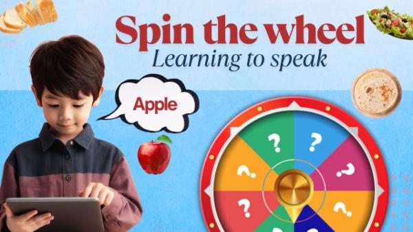 SPIN THE WHEEL cover