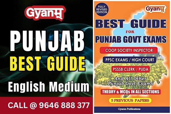Best Guide for Punjab Government Exam | Theory & MCQ's | English Medium cover