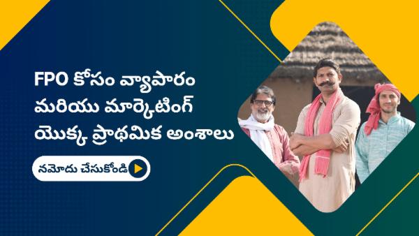 FPO కోసం వ్యాపారం మరియు మార్కెటింగ్ యొక్క ప్రాథమిక అంశాలు cover