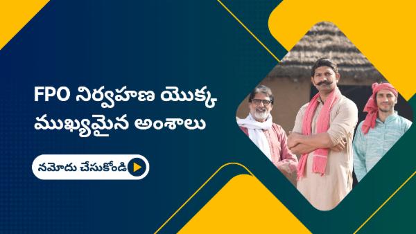 FPO నిర్వహణ యొక్క ముఖ్యమైన అంశాలు cover