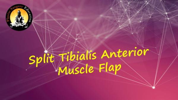 Tibialis Anterior Muscle flap cover