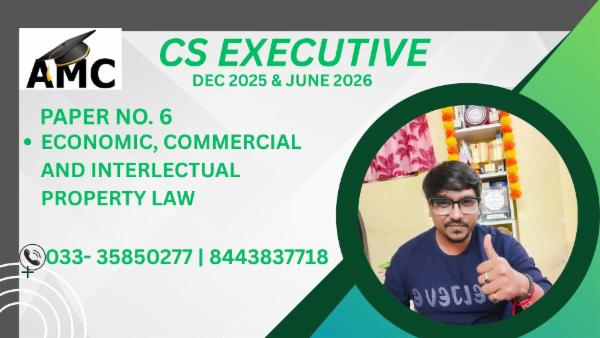 ECONOMIC, COMMERCIAL AND INTERLECTUAL PROPERTY LAW cover