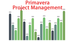 Project Management using Primavera cover