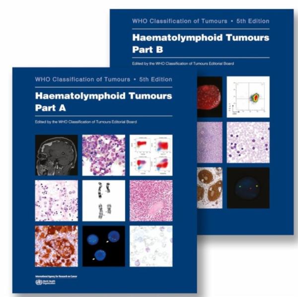 Advanced Hematopathology Updates WHO 5th edition Haematolymphoid Tumours: Part 11: Introduction to B-cell Lymphoproliferative lesions cover