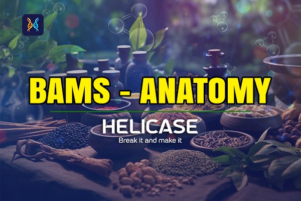 BAMS ANATOMY FIRST YEAR cover